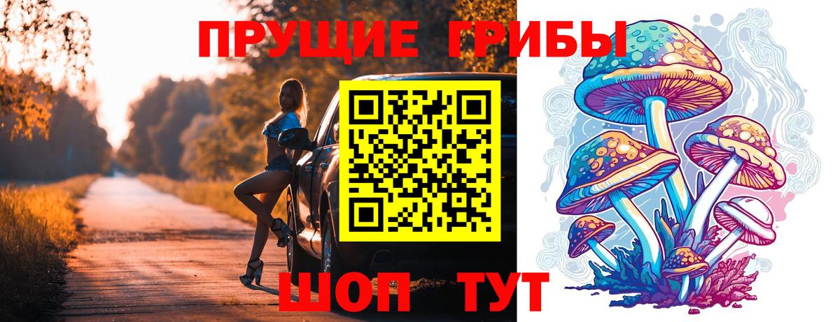 хочу наркоту  Вход с VPN  Гай  Галлюциногенные грибы мухоморы 